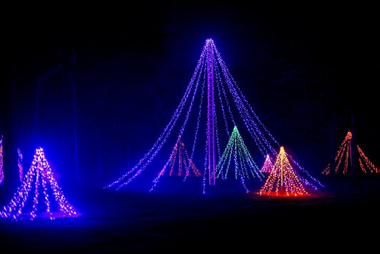 Christmas Lights Charleston SC