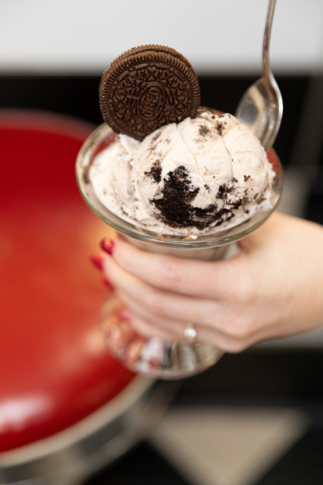 Wholly Cow Ice Cream First Scoop Charleston, SC