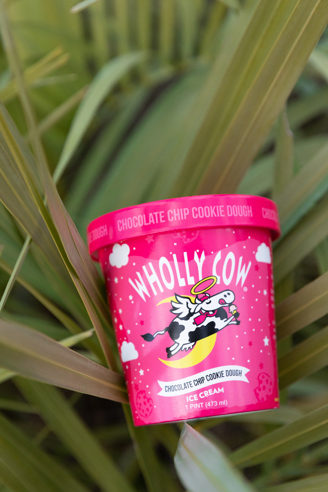 Wholly Cow Ice Cream - Four Pack Pint - Chocolate Chip Cookie Dough