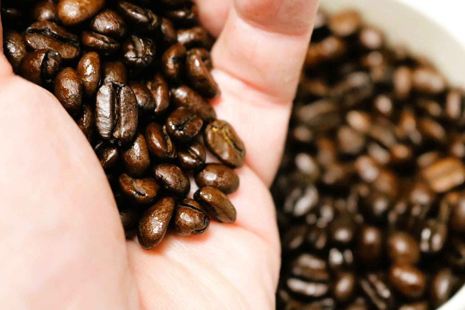 Wholly Cow Ice Creams and Sorbets